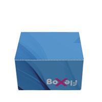 Caja sin pegamento con cierre